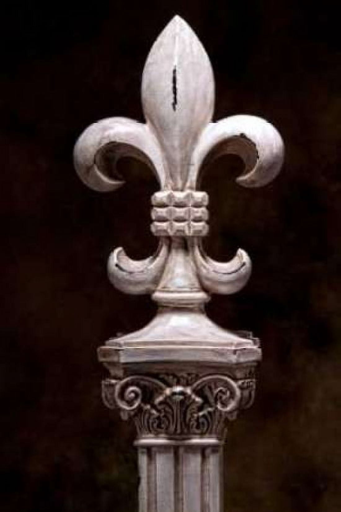 Fleur de Lis V Canvas Art - C Thomas McNemar (12 x 18)