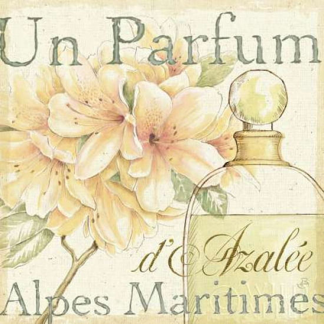 Fleurs and Parfum III Canvas Art - Daphne Brissonnet (24 x 24)