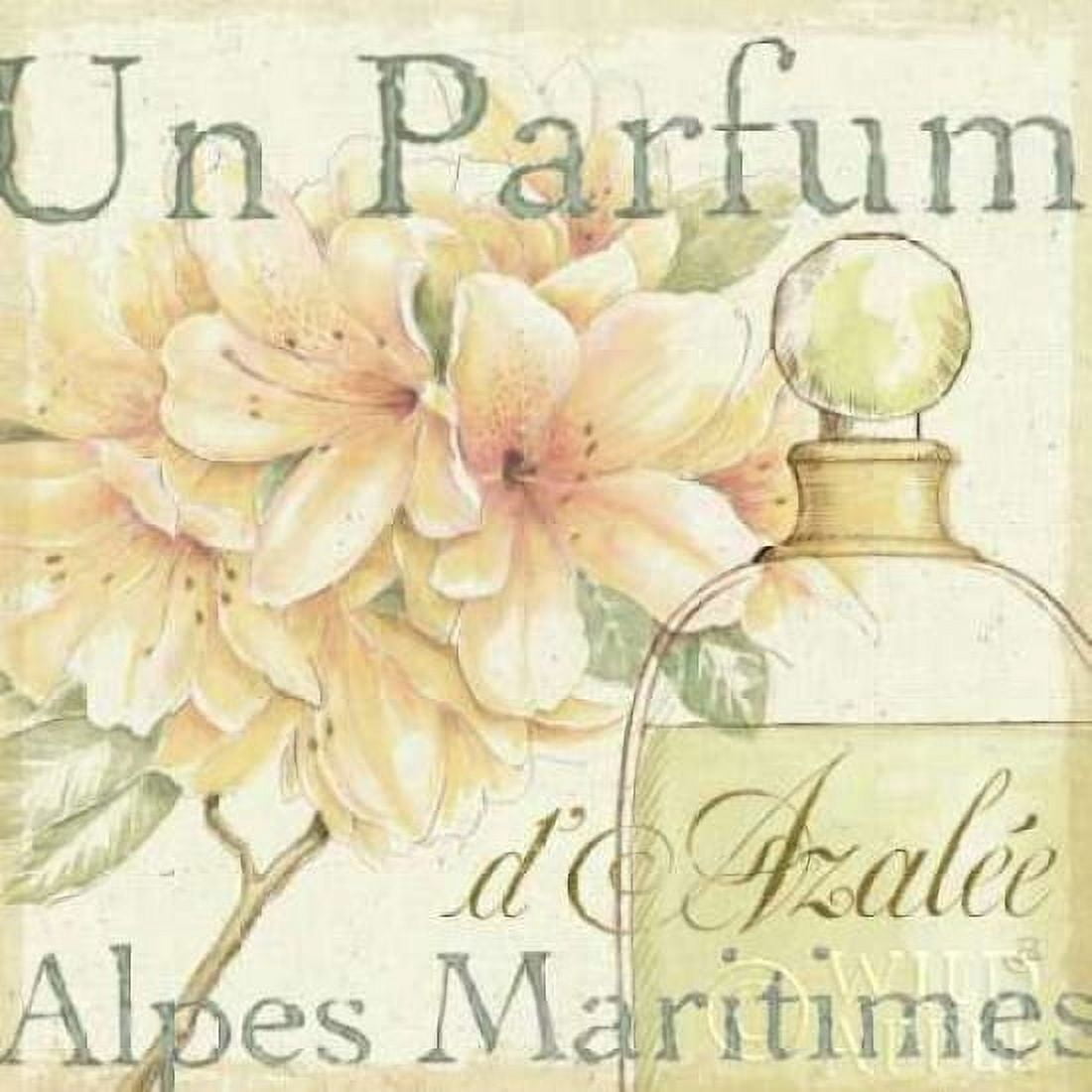 Fleurs and Parfum III Canvas Art - Daphne Brissonnet (24 x 24)