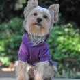 thumbnail image 1 of Doggie Design Sport Hoodie Flex-Fit Embroidered Fleece Lined Sweatshirt Purple / 4XL, 1 of 6