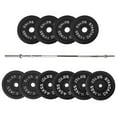thumbnail image 1 of FlexWave 1-Inch Standard Cast Iron Weight Plate Set, 90LB Options, Multiple Sizes，for Strength Training & Weightlifting, 1 of 6