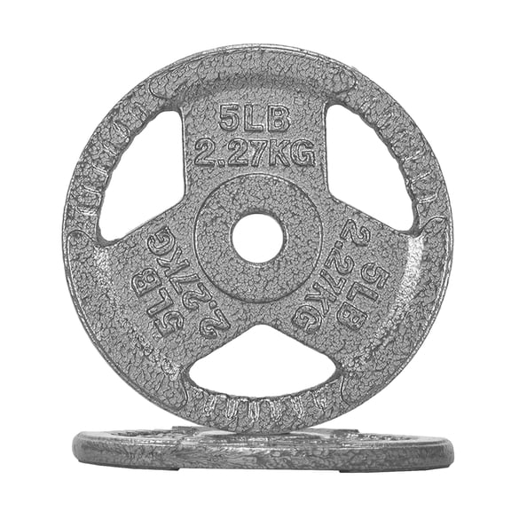 FlexWave 10LB Standard 1" Cast Iron 3-Grip Weight Plates Set, Light Gray