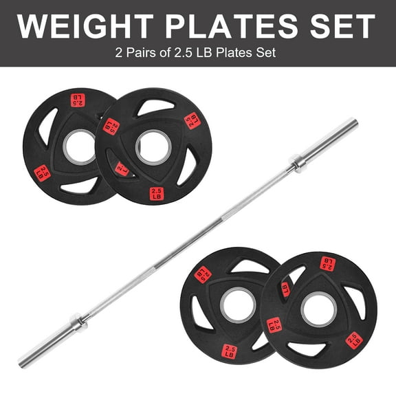 FlexWave 5FT Barbell with Rubber Coated Flywheel Plates – 10LB to 90LB Pairs, Strength Training Weight Set