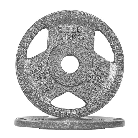 FlexWave 5LB Standard 1" Cast Iron 3-Grip Weight Plates Set, Light Gray