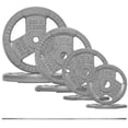 thumbnail image 1 of FlexWave 85LB Standard 1" Cast Iron 3-Grip Weight Plates Set, Light Gray, 1 of 7