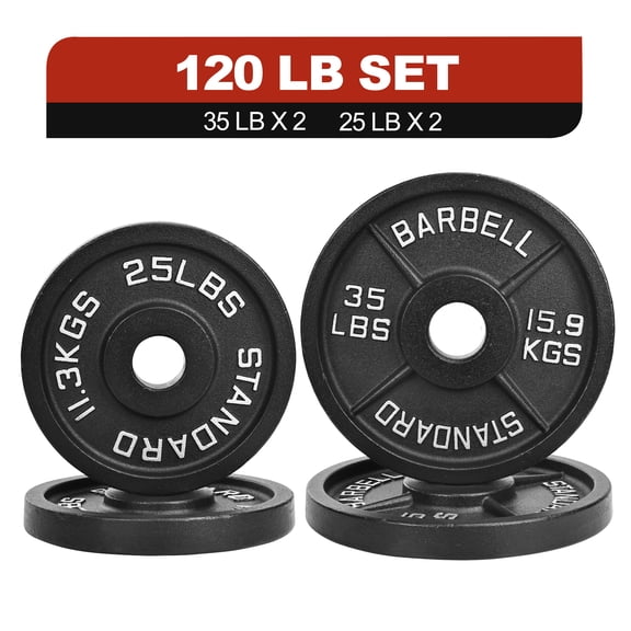 FlexWave Cast Iron Barbell Plates, 2-Inch Hole, Black with Silver Numbers, 120LB Set, for Standard Barbells, Dumbbells & Home Gym Strength Training