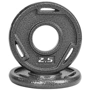 FlexWave Cast Iron Weight Plates, 2 Center Hole, Pair Set with 3-Grip Handles, Gray Rust-Resistant Finish