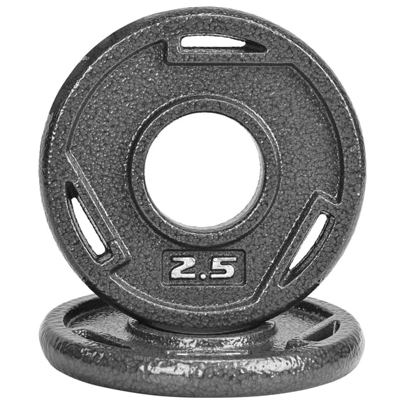 FlexWave Cast Iron Weight Plates, 2" Center Hole, Pair Set with 3-Grip Handles, Gray Rust-Resistant Finish