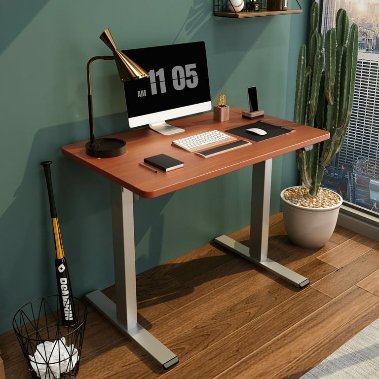  FLEXISPOT Electric Standing Desk Whole Piece 48 x 30