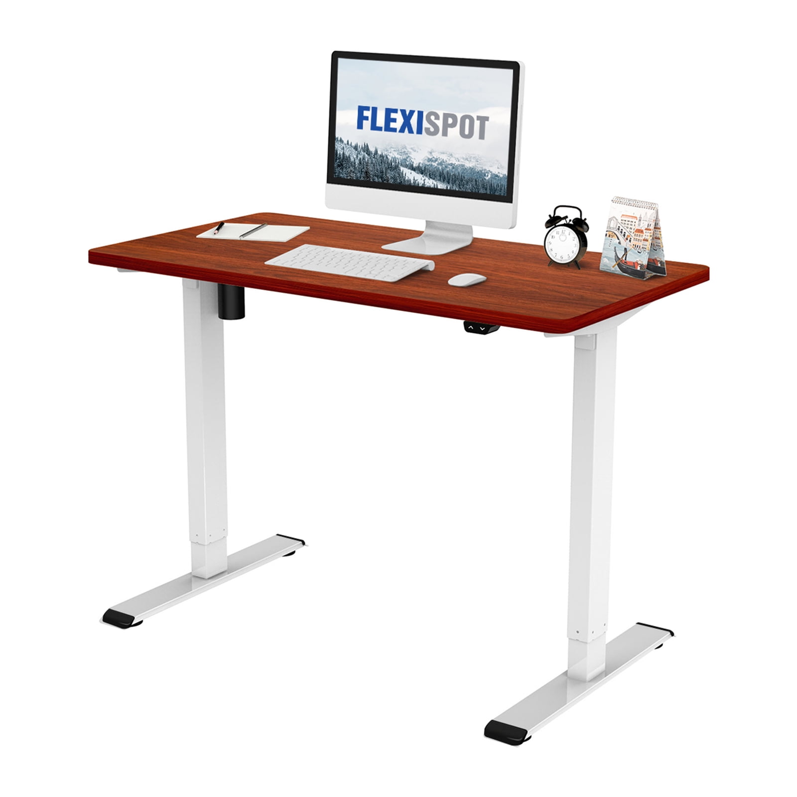FlexiSpot Value Electric Adjustable Standing Desk E1 | Sit Stand Up Desk | White Home Office Desk 42 × 24 inch with Basic Keypad