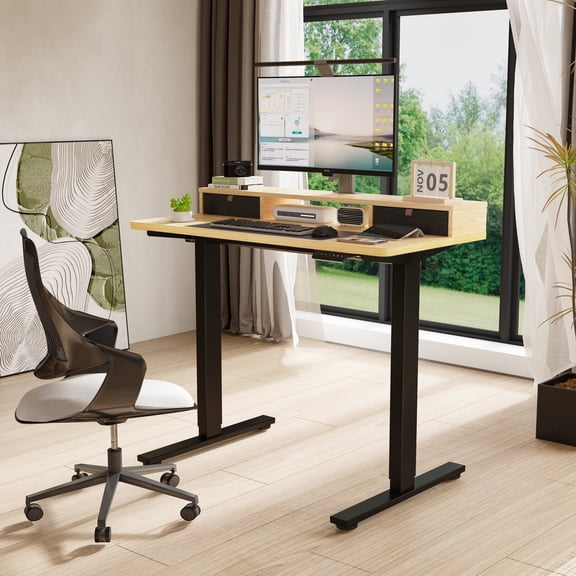 FlexiSpot 48"x24" Electric Standing Desk with One-Piece Desktop, 2 Removable Drawers, Headphone Hook, 4 Height Memory Presets, 250lbs Capacity Ergonomic Sit Stand Desk with Monitor Stand