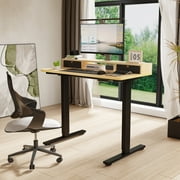 FlexiSpot 48"x24" Electric Standing Desk with One-Piece Desktop, 2 Removable Drawers, Headphone Hook, 4 Height Memory Presets, 250lbs Capacity Ergonomic Sit Stand Desk with Monitor Stand