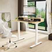 FlexiSpot 48x24 Electric Standing Desk with One-Piece Desktop, 2 Removable Drawers, Headphone Hook, 4 Height Memory Presets, 250lbs Capacity Ergonomic Sit Stand Desk with Monitor Stand