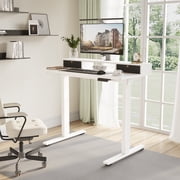 FlexiSpot 48x24 Electric Standing Desk with One-Piece Desktop, 2 Removable Drawers, Headphone Hook, 4 Height Memory Presets, 250lbs Capacity Ergonomic Sit Stand Desk with Monitor Stand