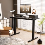 FlexiSpot 55x24 Electric Standing Desk with One-Piece Desktop, 2 Removable Drawers, Headphone Hook, 4 Height Memory Presets, 250lbs Capacity Ergonomic Sit Stand Desk with Monitor Stand