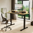 thumbnail image 1 of FlexiSpot 55"x24" Electric Standing Desk with One-Piece Desktop, 2 Removable Drawers, Headphone Hook, 4 Height Memory Presets, 250lbs Capacity Ergonomic Sit Stand Desk with Monitor Stand, 1 of 11