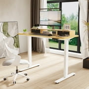 FlexiSpot 55x24Electric Standing Desk with One-Piece Desktop, 2 Removable Drawers, Headphone Hook, 4 Height Memory Presets, 250lbs Capacity Ergonomic Sit Stand Desk with Monitor Stand