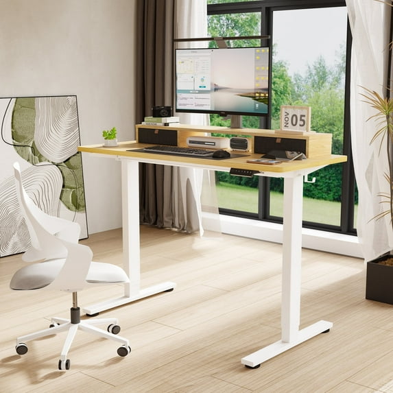 FlexiSpot 55"x24"Electric Standing Desk with One-Piece Desktop, 2 Removable Drawers, Headphone Hook, 4 Height Memory Presets, 250lbs Capacity Ergonomic Sit Stand Desk with Monitor Stand