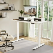 FlexiSpot 55x24 Electric Standing Desk with One-Piece Desktop, 2 Removable Drawers, Headphone Hook, 4 Height Memory Presets, 250lbs Capacity Ergonomic Sit Stand Desk with Monitor Stand