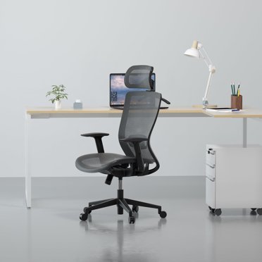 FLEXISPOT FS-OC3-OC Ergonomic Mesh Office Chair With Lumbar Support & Wheels