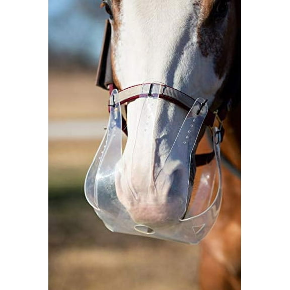 Flexible Filly Grazing Muzzle