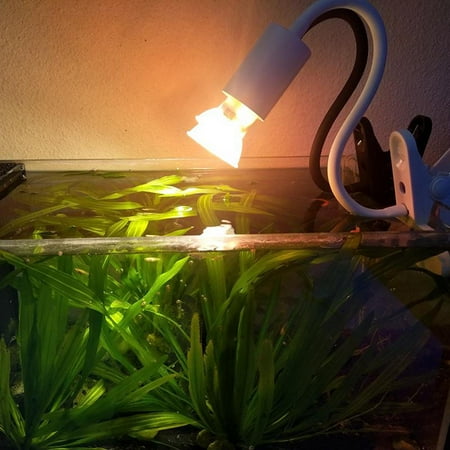 Flexible Fixture for Reptiles. Terrarium Habitat Lighting & Heat Lamp Holder UVA UVB Light Lamp Pet Heating Bulb Holder Flexible Clip 1