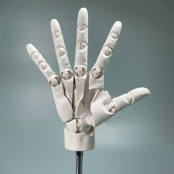 Flexible Right Hand Model, 1:1 Movable Joints, Artist Human Body Model Hand Model, Figurine Decoration or for Display, Anime Sketching and Painting