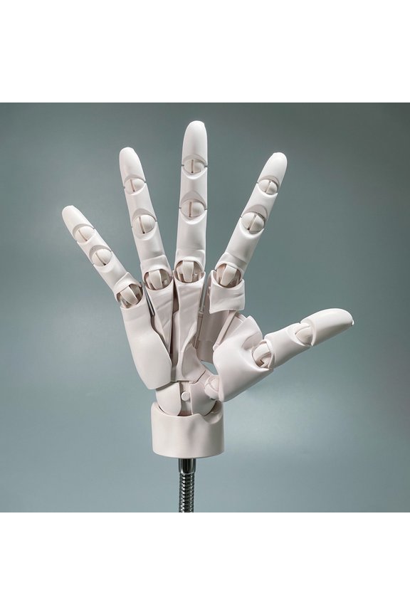 Flexible Right Hand Model, 1:1 Movable Joints, Artist Human Body Model Hand Model, Figurine Decoration or for Display, Anime Sketching and Painting