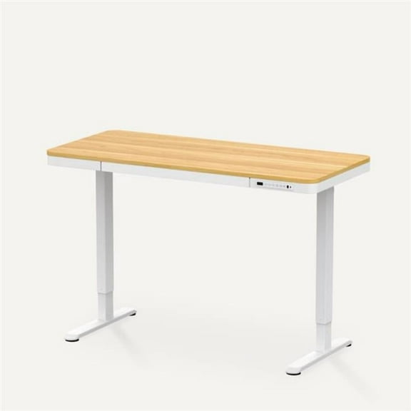 Flexispot EW8R 48 x 24 in. Comhar Standing Desk with Drawers, Rustic Brown