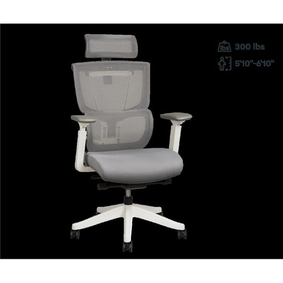 Flexispot C7WG-foam Premium C7 Ergo Series Foam Office Chair, White & Gray