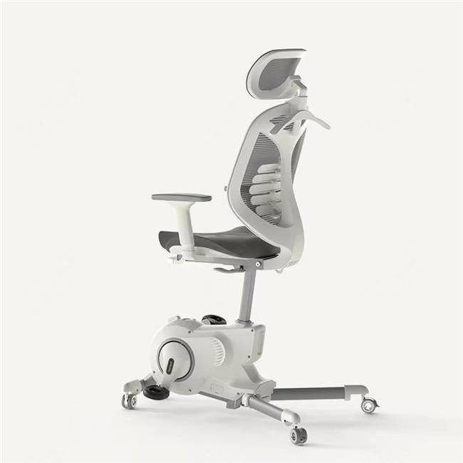 Flexispot V6W1-2, V6W2-2 Intelligent Fitness Office Chair, White