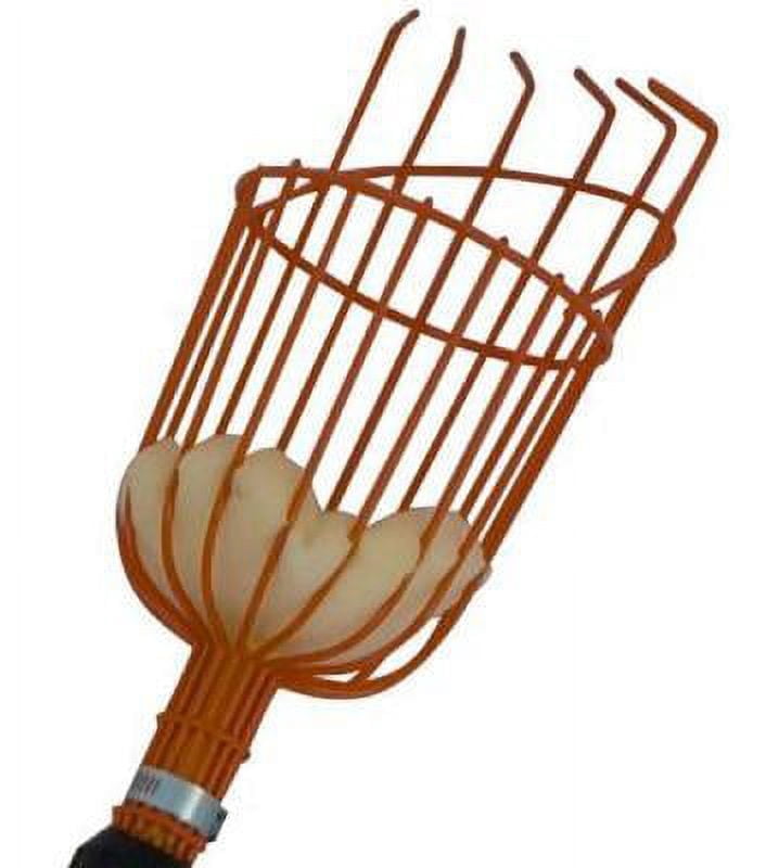 Flit Pickers Flexrake LRB190 13' Fruit Picker - Walmart.com