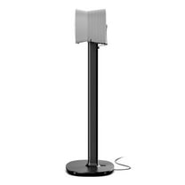 Flexson Floorstand for Sonos Era 300 - Each (Black)