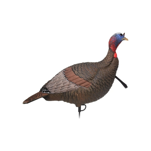 Flextone Hunting Lightweight Ultra Realistic Lifelike Plastic Outdoor Thunder Jake Turkey Decoy - Brown