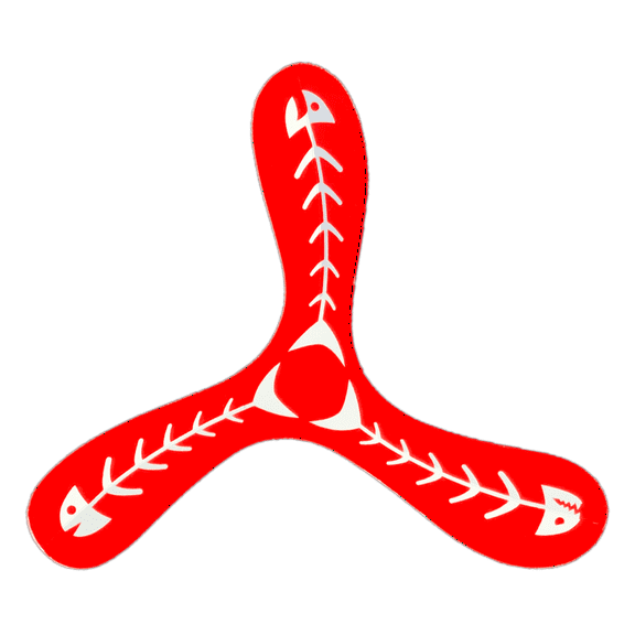 Flick Boomerang - Small thin plastic boomerangs. They work great!
