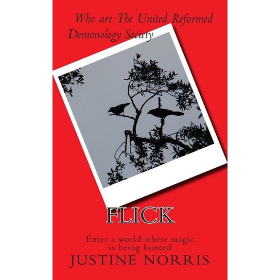 Flick (Paperback)