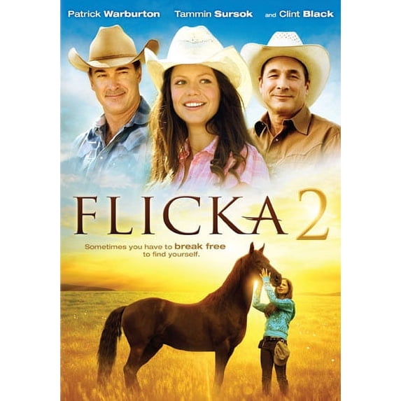 Pre-Owned Flicka 2 (DVD)