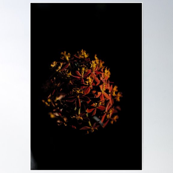 Flicker And Flame Poster Wall Art, Modern Wall Decor For Living Room Bedroom, 24x36 UNFRAMED