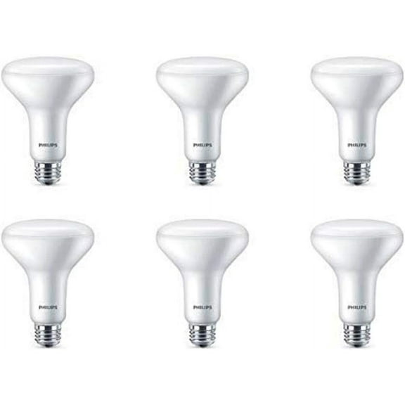 Flicker-Free Frosted Dimmable BR30 Light Bulb - EyeComfort Technology - 650 Lumen - Daylight (5000K)  7.5W=65W - E26 Base - Ultra Definition (Old Version) - Indoor - 6-Pack