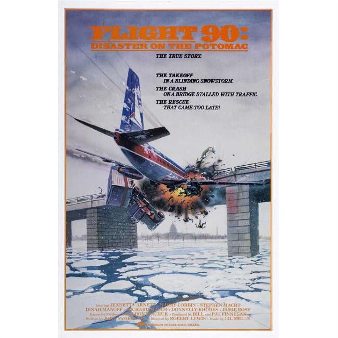 Flight 90-Disaster on the Potomac Movie Poster - Walmart.com