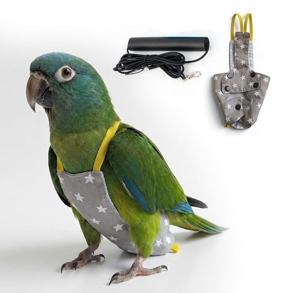 Flight Harness Parrot Outdoor Strap Bird Training Vest Aviary Activity Gear Flying Control Protective Band Outdoor Exercise Supply ,D - S