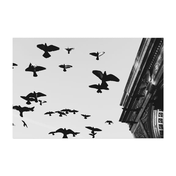 Flight of the Pigeons - Manhattan New York Photography Black and White Silhouette Bird Architecture Cityscape Moody Minimalist Unframed Wall Art Print 4 x 6 inches