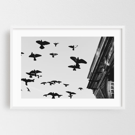 Flight of the Pigeons - Manhattan New York Photography Black and White Silhouette Bird Architecture Cityscape Moody Minimalist White Framed Wall Art Print 5 x 7 inches