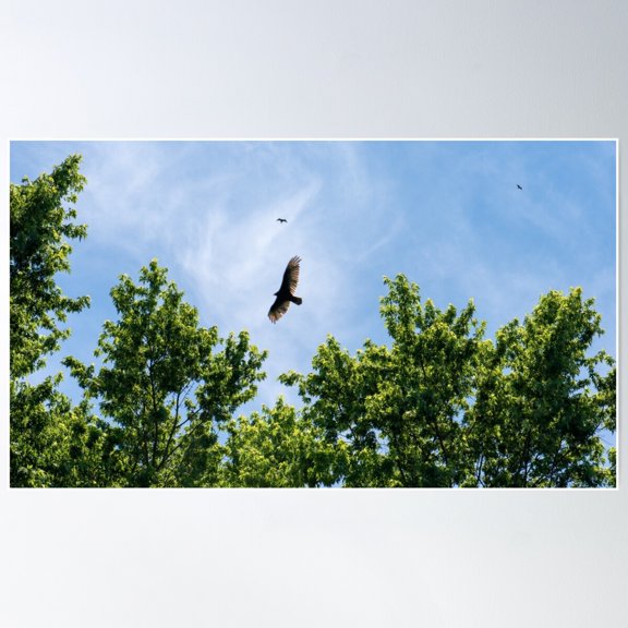 Flight Poster Wall Art, Modern Wall Decor For Living Room Bedroom, 12x18 UNFRAMED