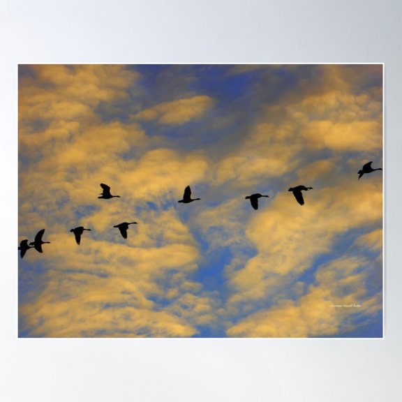 Flight Poster Wall Art, Modern Wall Decor For Living Room Bedroom, 8x12 UNFRAMED