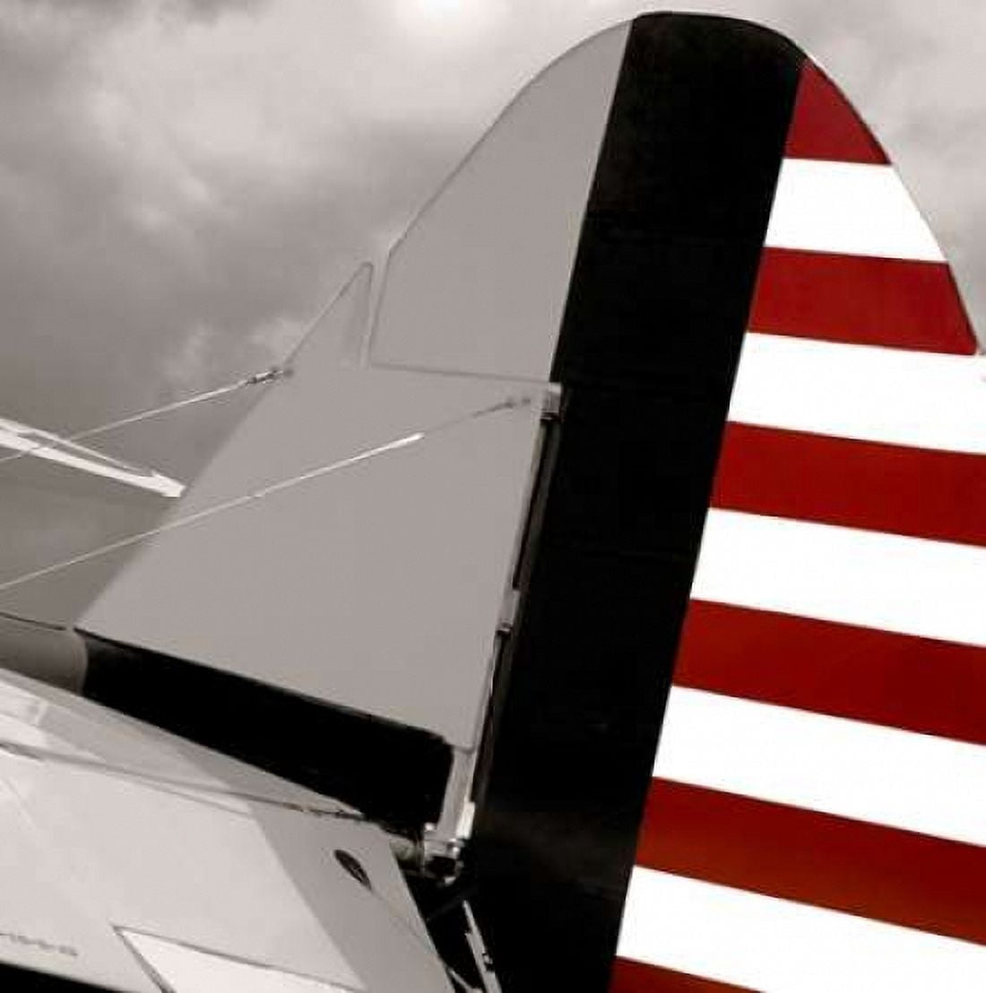 Flight Ready Canvas Art - Matt McCarthy (24 x 24)