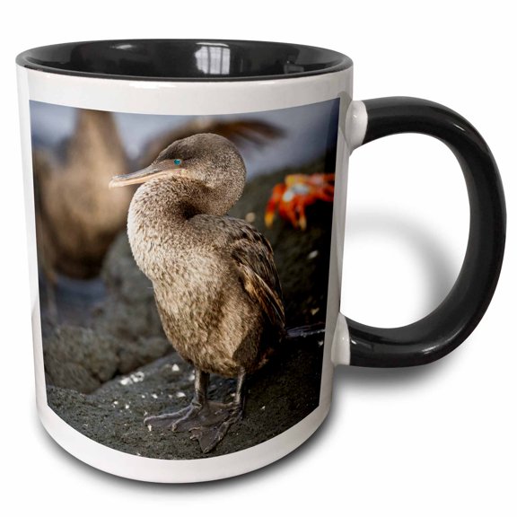 3drose, Flightless Cormorant, Galapagos Islands - Sa07 Rbe0070 - Ralph H. Bendjebar, 11oz Two-tone Black Mug