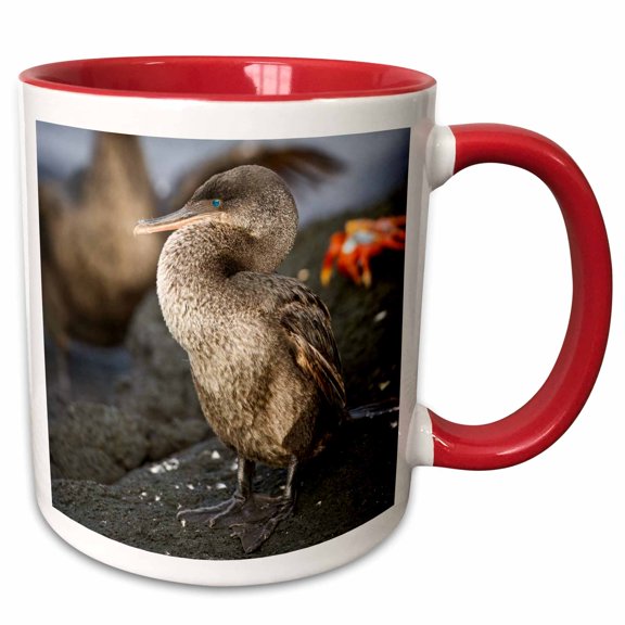 3drose, Flightless Cormorant, Galapagos Islands - Sa07 Rbe0070 - Ralph H. Bendjebar, 11oz Two-tone Red Mug