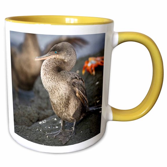 3drose, Flightless Cormorant, Galapagos Islands - Sa07 Rbe0070 - Ralph H. Bendjebar, 11oz Two-tone Yellow Mug