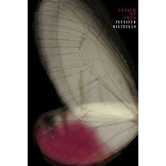 Flinch of Song (Paperback)